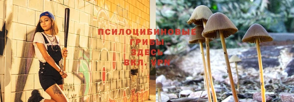 мдпв Волоколамск