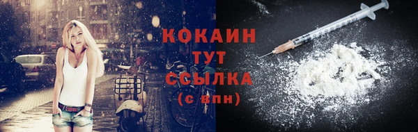 крисы Вязьма