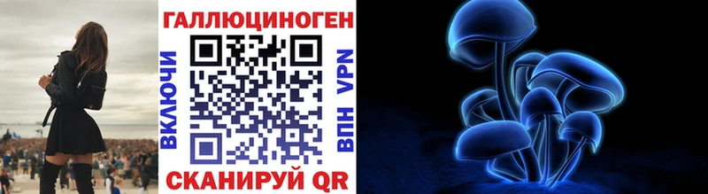 Псилоцибиновые грибы Cubensis Злынка