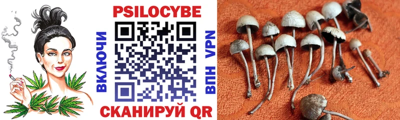 Галлюциногенные грибы прущие грибы  Злынка 